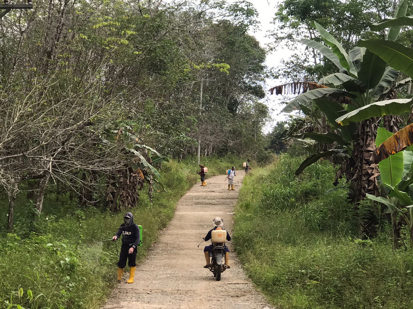 Pemerintah Desa Telaga Baru dan Masyarakat Bersihkan Jalan Desa dari Tanaman Liar 
