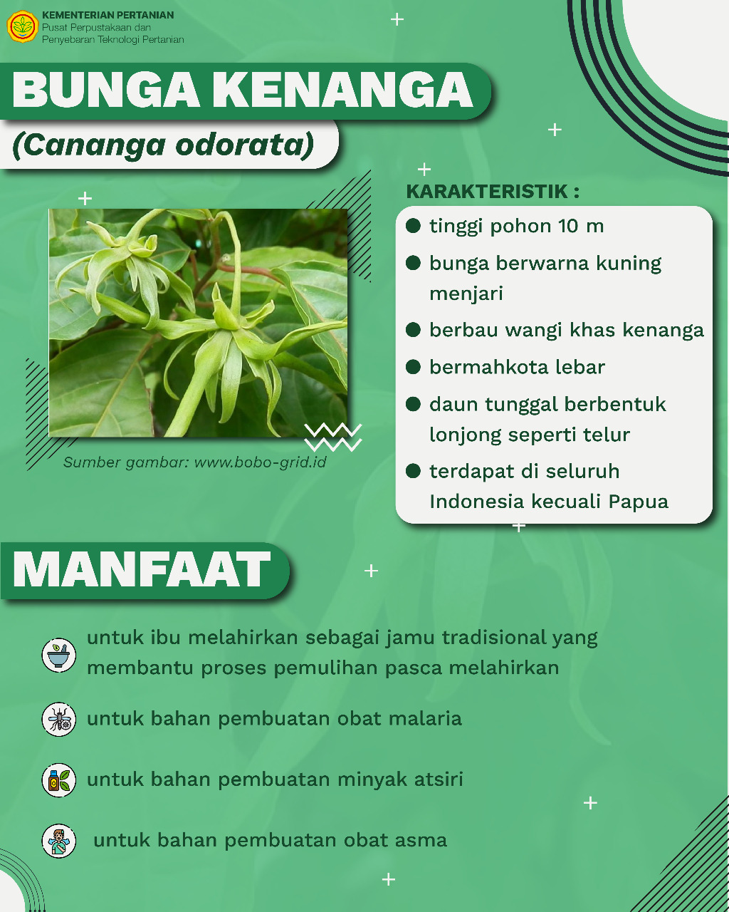 Gambar Produk