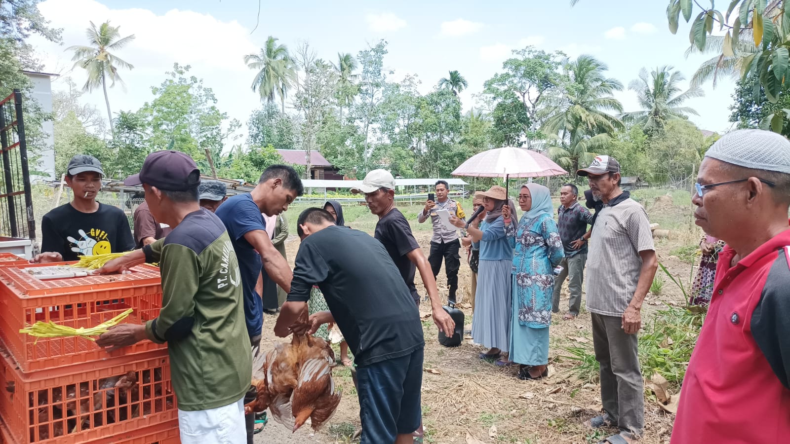 Pembagian Bibit Ayam Petelur Beserta Pakan Kepada Masyarakat Miskin