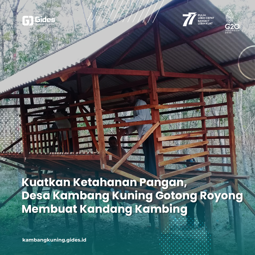 KUATKAN KETAHANAN PANGAN, DESA KAMBANG KUNING GOTONG ROYONG MEMBUAT KANDANG KAMBING